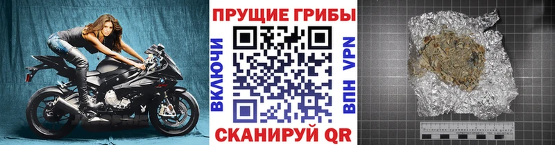 Купить где  Куртамыш  Галлюциногенные грибы Psilocybe 